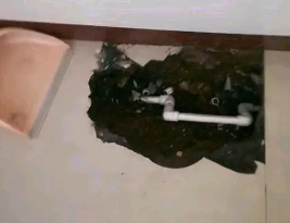 滨州卫生间测漏水多少钱